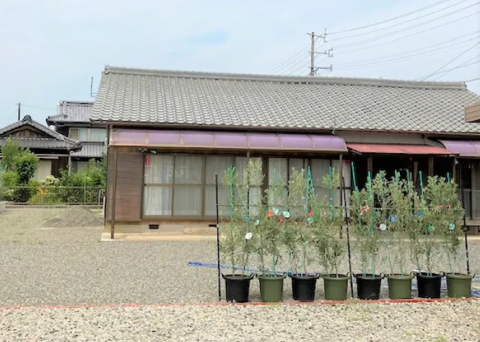 さくらさくらスクール亀山南